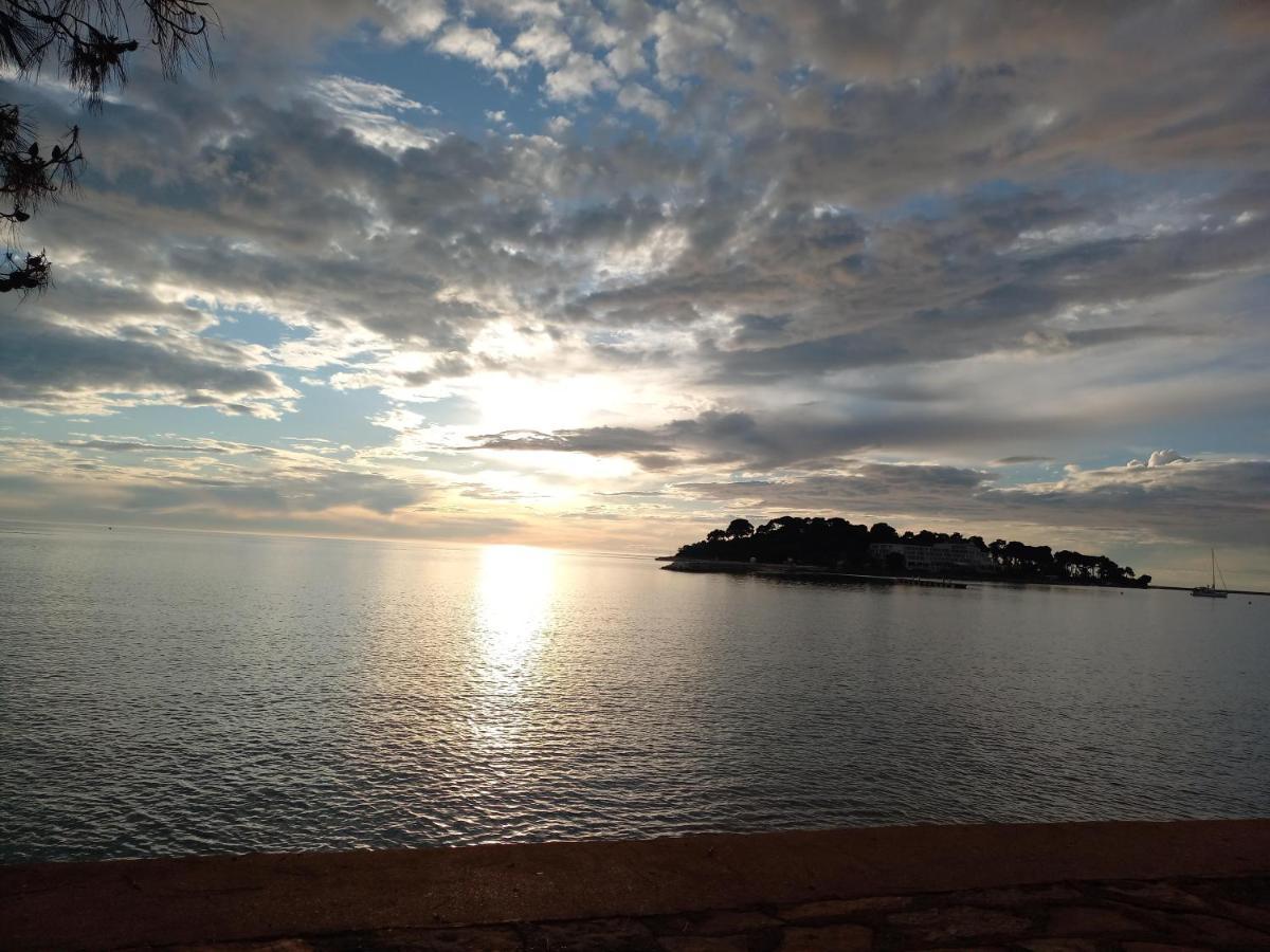 Alba Sanja I Teran