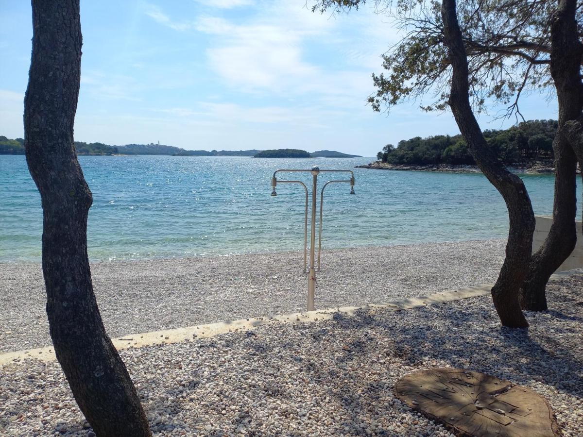 Apartament Alba Sanja I Teran