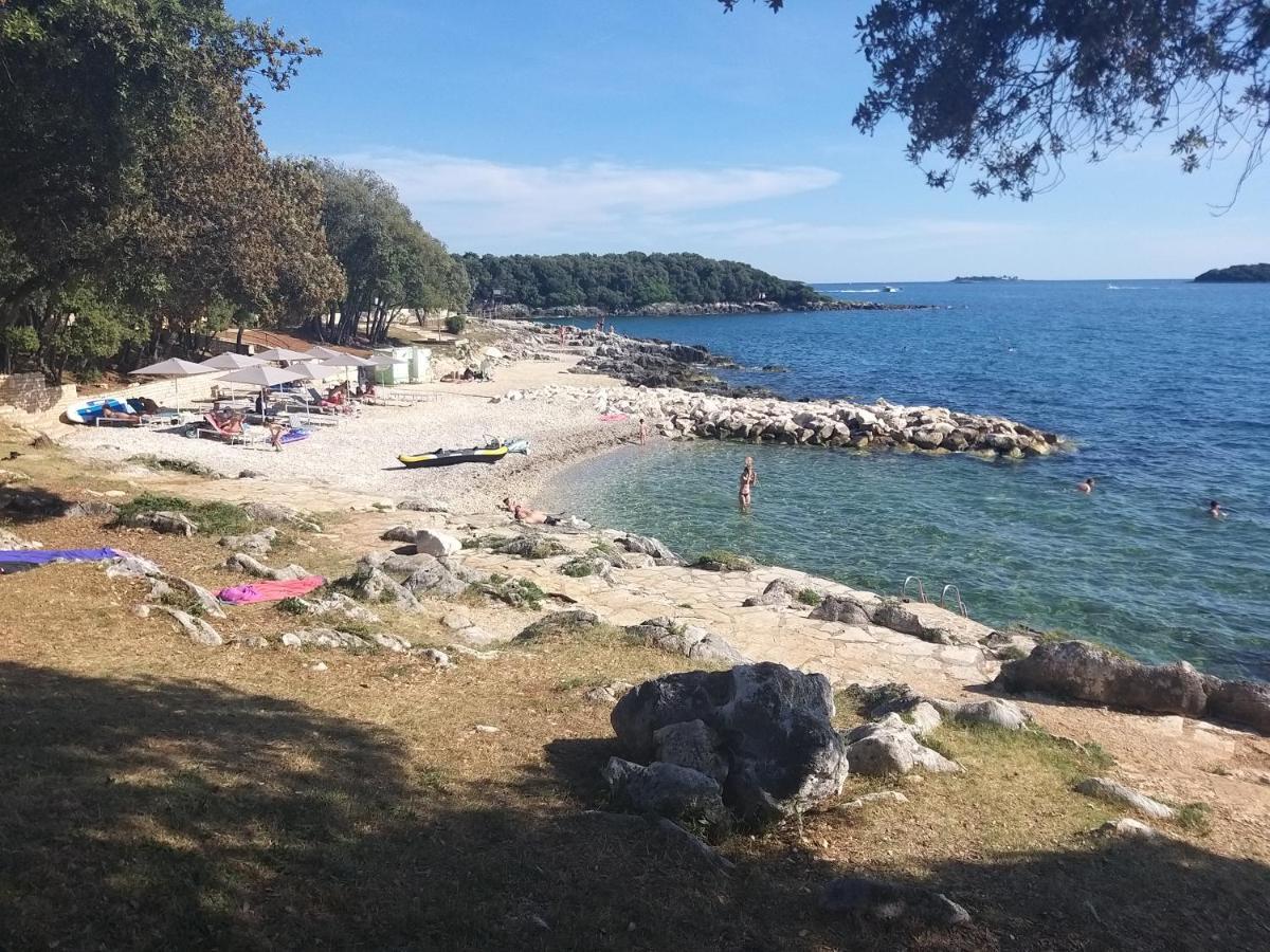 Alba Sanja I Teran Funtana